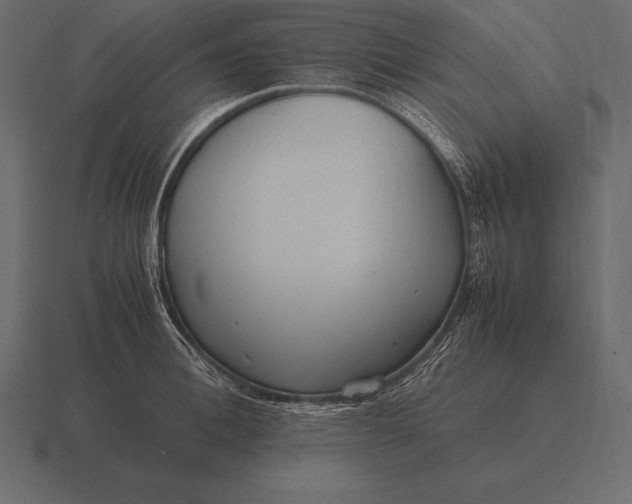 X0000116560996200912241611