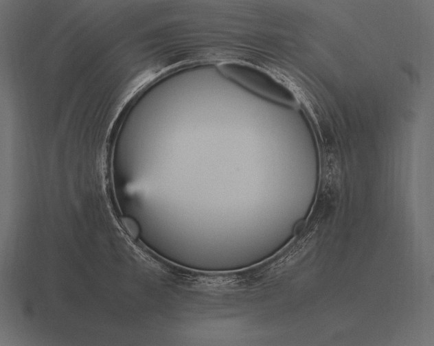 X0000116560997200912241611