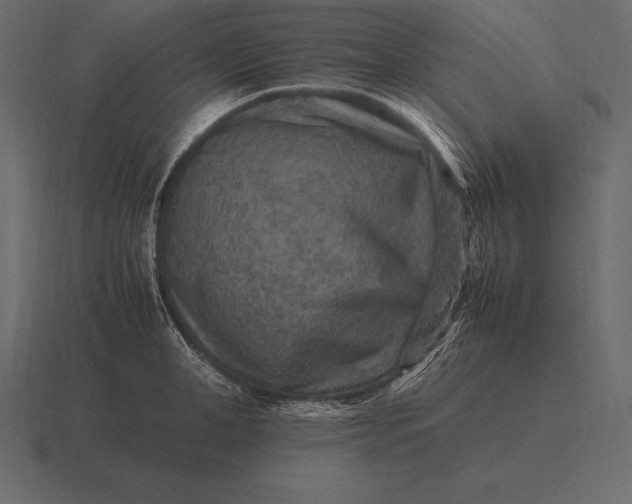 X0000116560998200912241611