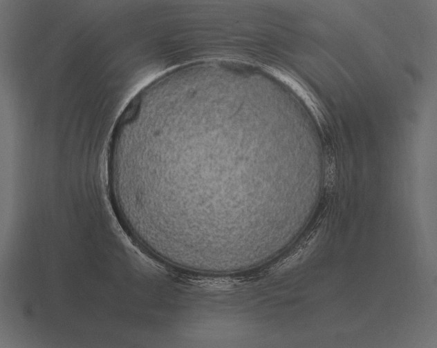 X0000116560999200912241611