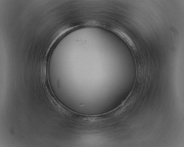 X0000116561000200912241611