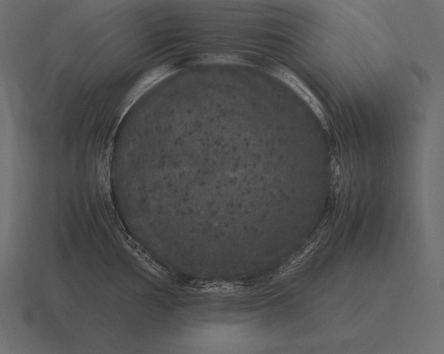 X0000116561002200912241611