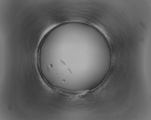 X0000116561003200912241611