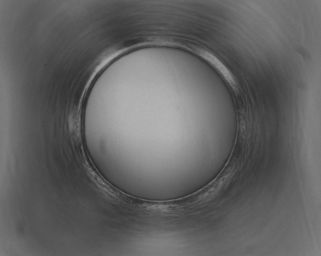 X0000116561004200912241611