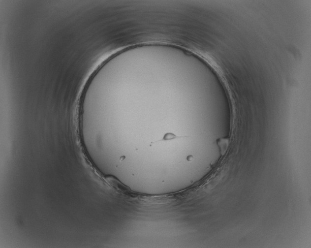 X0000116561008200912241611