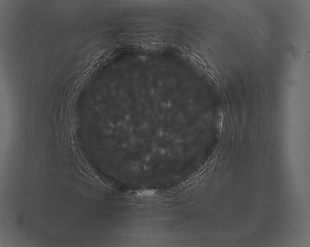 X0000116561009200912241610