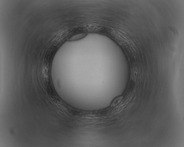 X0000116561010200912241610