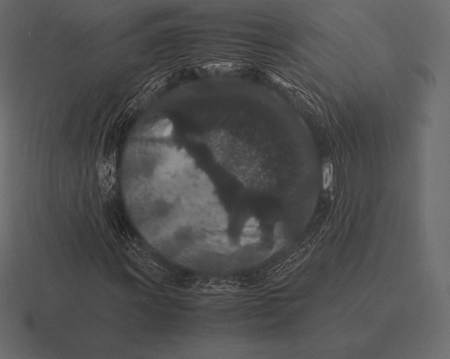 X0000116561011200912241610