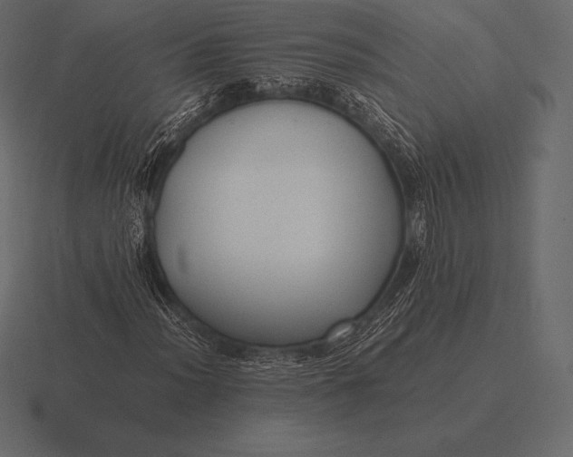 X0000116561012200912241610