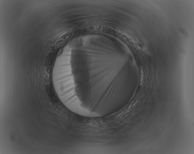 X0000116561013200912241610