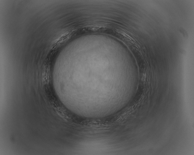 X0000116561014200912241610