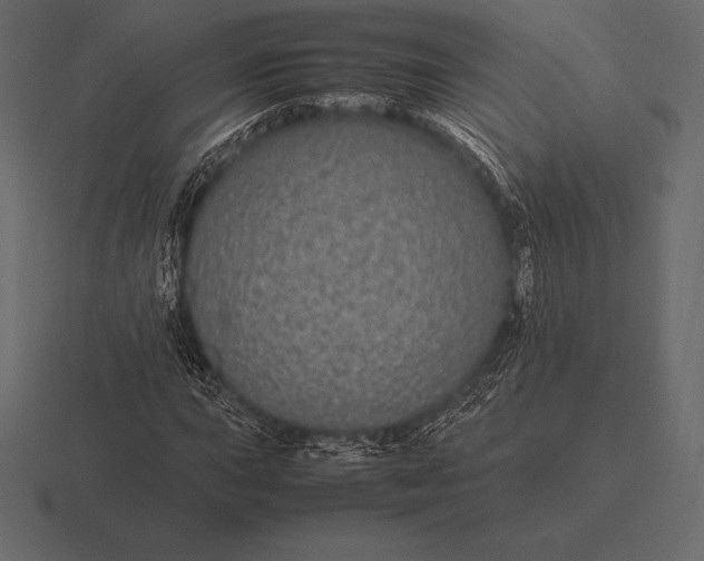 X0000116561015200912241610