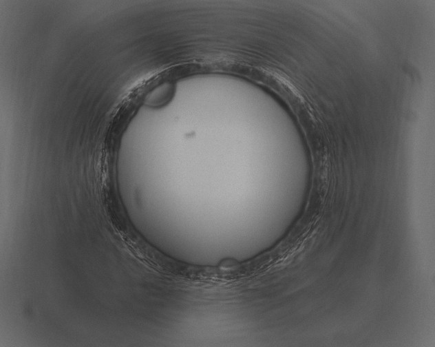 X0000116561016200912241610