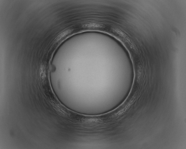 X0000116561017200912241610