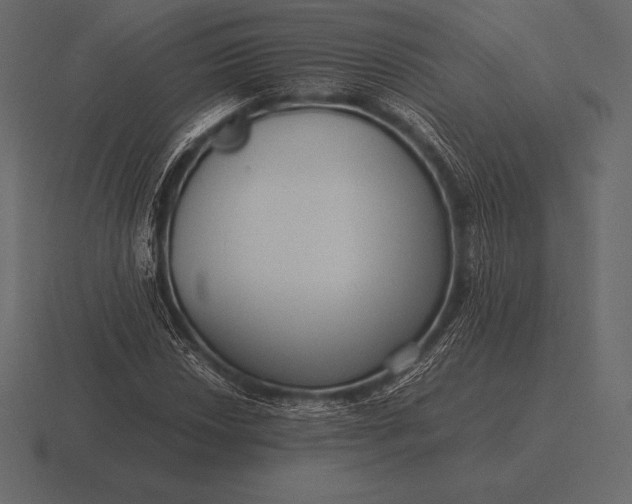 X0000116561018200912241610