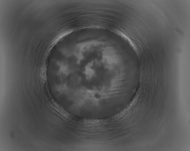 X0000116561019200912241610