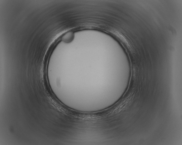 X0000116561020200912241610