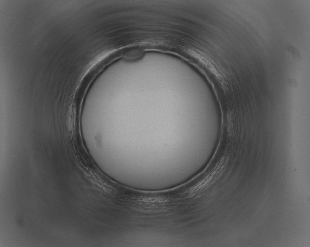 X0000116561021200912241610