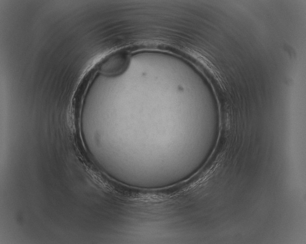 X0000116561022200912241610