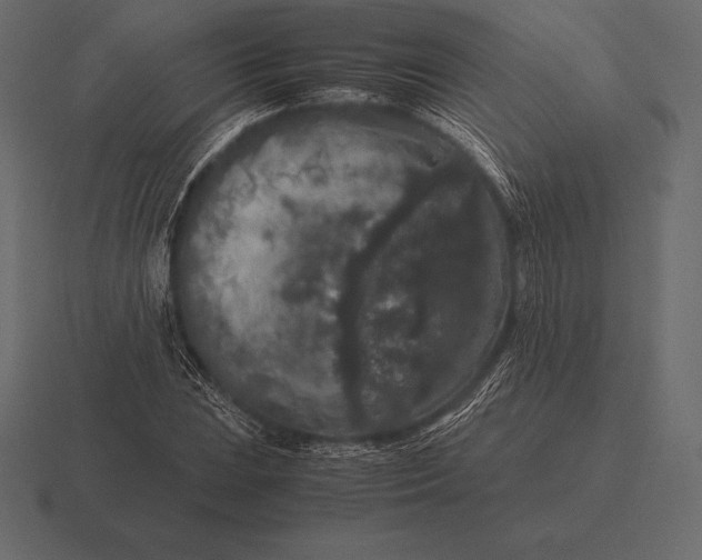 X0000116561023200912241610