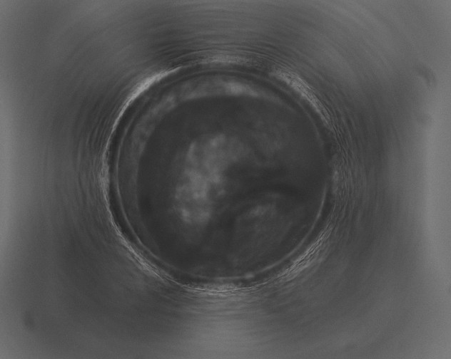 X0000116561024200912241610