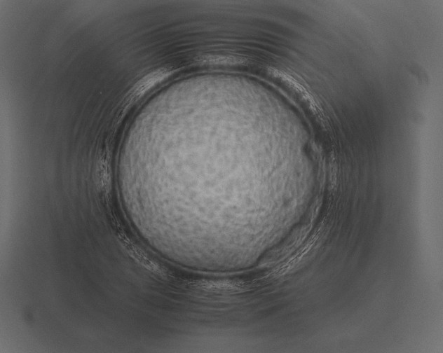 X0000116561025200912241611