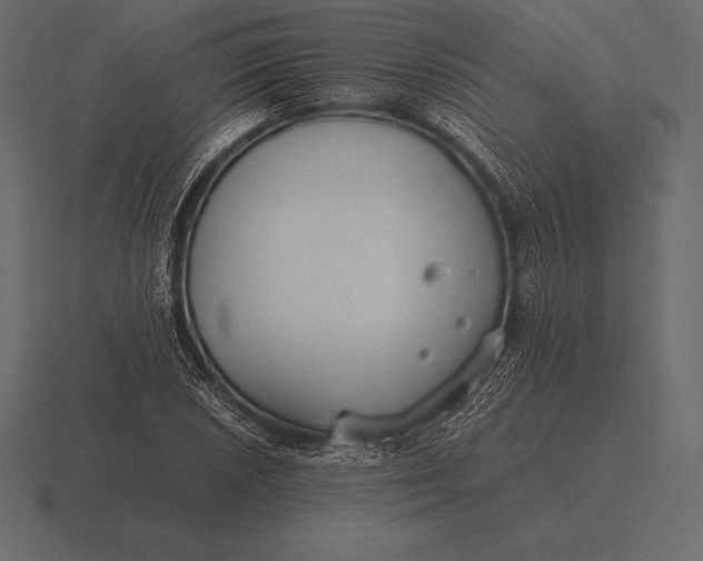 X0000116561026200912241611