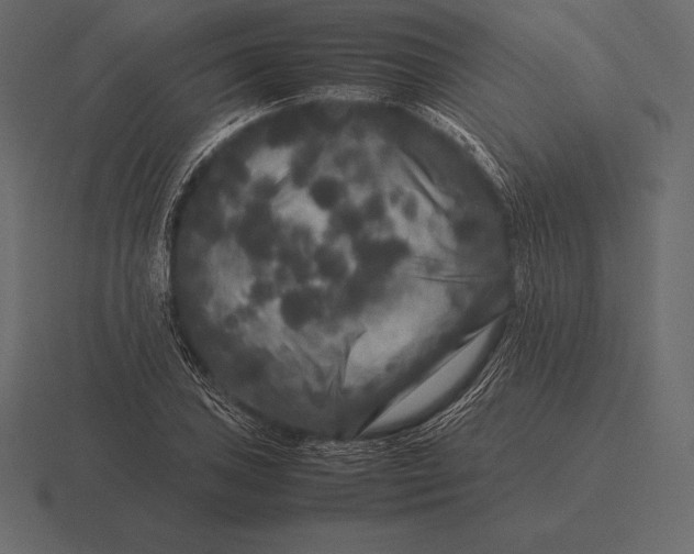 X0000116561027200912241611