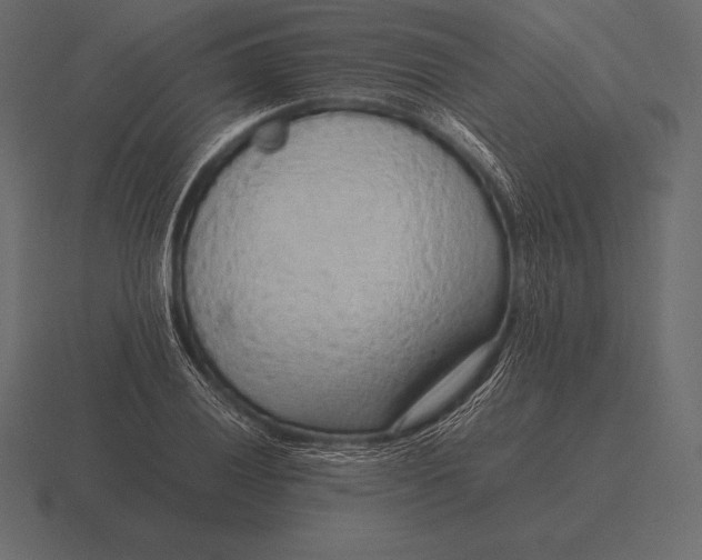 X0000116561028200912241611