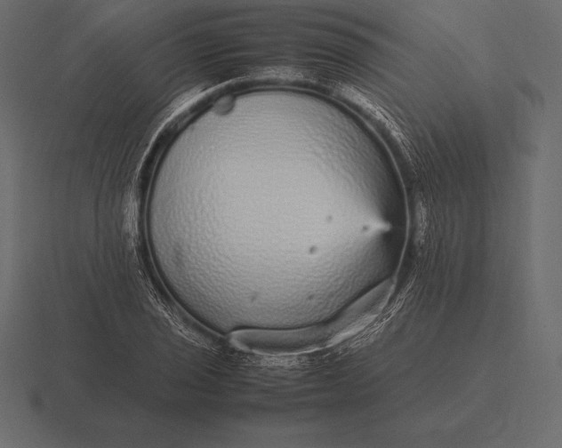 X0000116561029200912241611