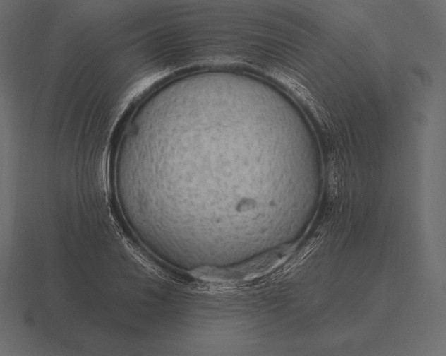 X0000116561030200912241611