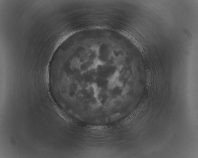 X0000116561031200912241611