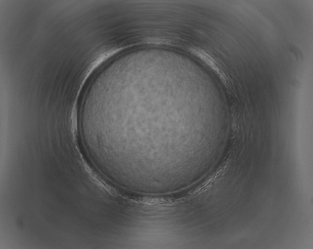 X0000116561032200912241611