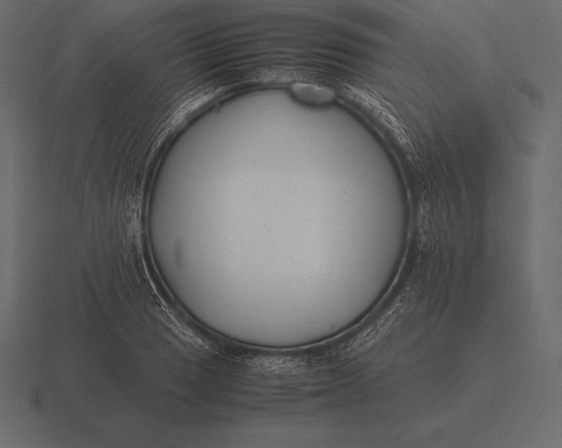 X0000116561033200912241611