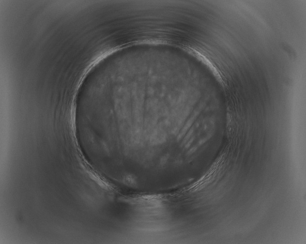 X0000116561035200912241611