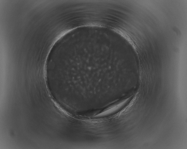 X0000116561037200912241611