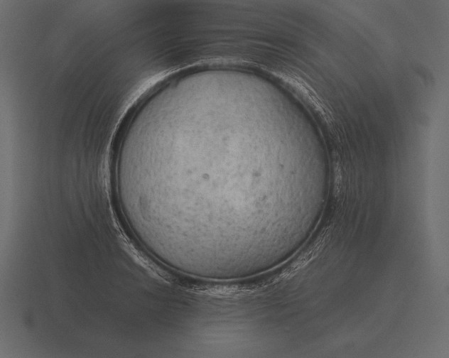 X0000116561038200912241611