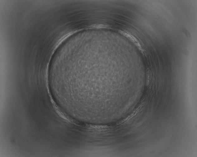 X0000116561039200912241611