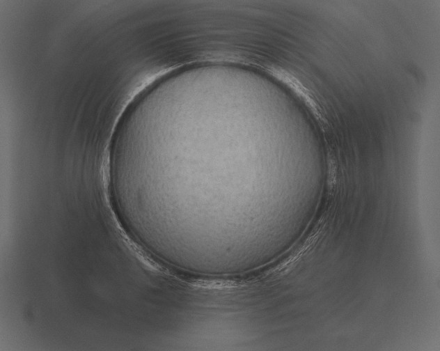 X0000116561040200912241611