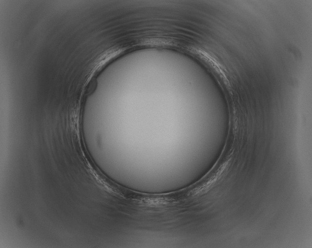 X0000116561041200912241611