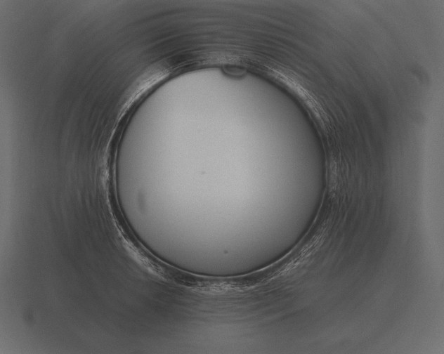 X0000116561042200912241611