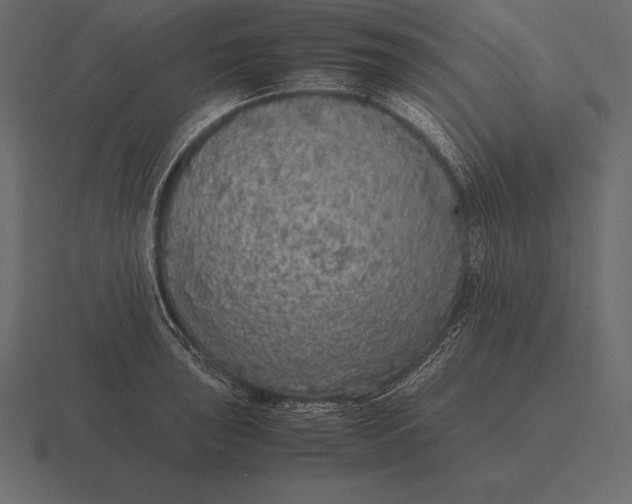 X0000116561043200912241611