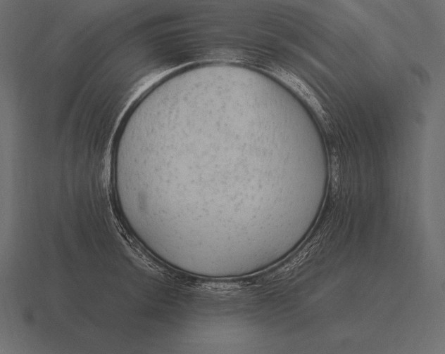 X0000116561044200912241611