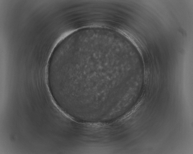 X0000116561045200912241611