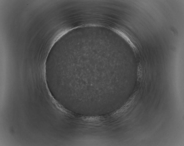 X0000116561047200912241611