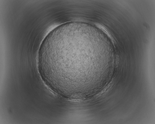 X0000116561048200912241611