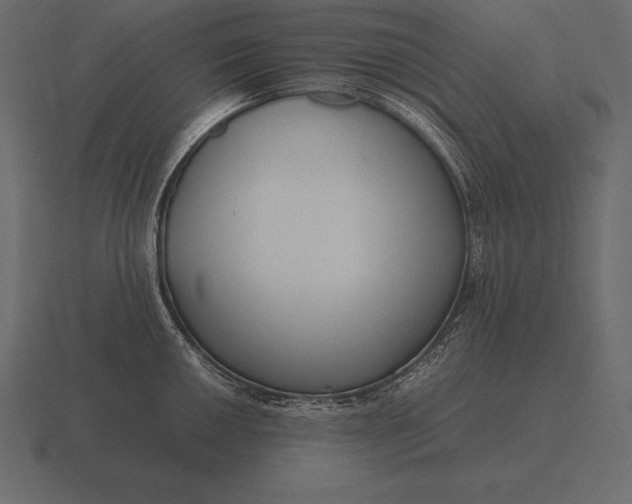 X0000116561050200912241611