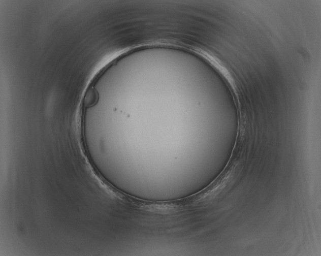 X0000116561053200912241611