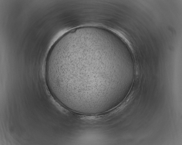 X0000116561054200912241611