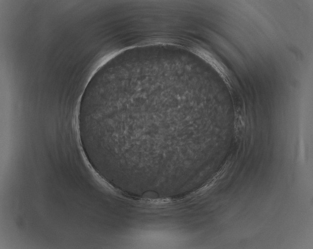 X0000116561055200912241611